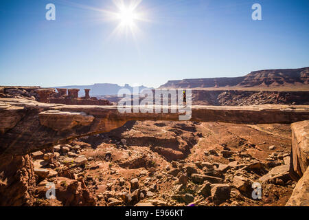 Musselman Bogen in der Nähe von White Rim Trail, Canyonlands National Park, Moab, Utah. Stockfoto