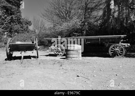 Alten Ochsenwagen auf einem Bauernhof in der Eastern Cape, Südafrika Stockfoto