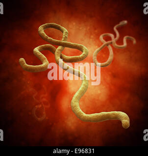 Ebola-Virus 3D-Modell rendern Stockfoto