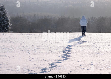 Walker auf verschneiten Wiese in der Nähe von Engenhahn im Taunus, Hessen, Deutschland Stockfoto