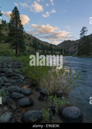 Middle Fork des Salmon River am Zusammenfluss von Camas Creek. Stockfoto