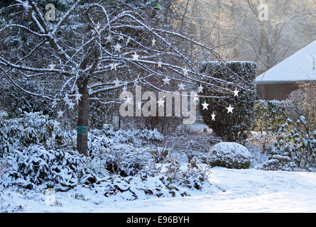 Baum mit leuchtenden Sternen im verschneiten Garten im Taunus, Hessen, Deutschland Stockfoto