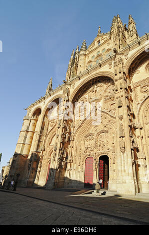 neue Kathedrale, Salamanca, Spanien Stockfoto