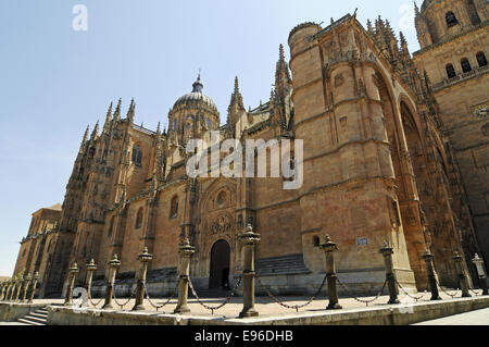 neue Kathedrale, Salamanca, Spanien Stockfoto