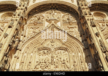 neue Kathedrale, Salamanca, Spanien Stockfoto