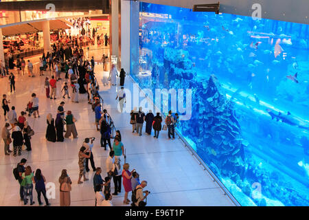 DUBAI, Vereinigte Arabische Emirate - Oktober 07,2014: Aquarium in der Dubai Mall - weltweit größte Shopping-Mall, Downtown Burj Dubai in Dubai. Stockfoto