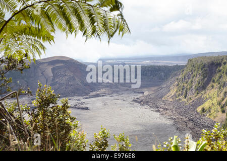 Kilauea Iki, Grube Krater (ehemalige Lavasee) Stockfoto