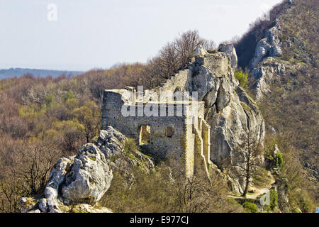 Kalnik Bergfestung auf Klippe Stockfoto