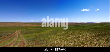 Mongolische Feldweg in der Ferne verschwinden. Stockfoto