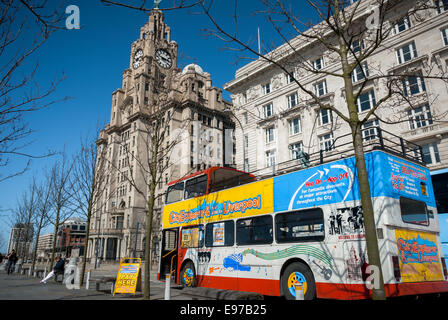 Liverpool, Großbritannien - 18. April 2014: City explorer Open Top Bus in der Nähe der Leber Gebäude stationiert warten Touristen um L zu nehmen Stockfoto