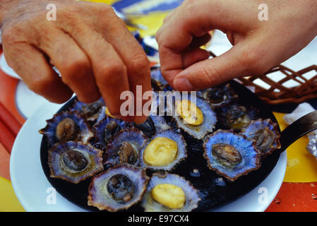 Knoblauch Limpet Mittagessen. Madeira. Portugiesische Inselgruppe Stockfoto