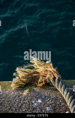 ausgefranste Seil am Kai, ausgefranste Seil auf Waterfront, Seil, Fray, ausgefranste, auseinander, Herbst, brechen, verdreht, natürliche, Schnur, hängen Stockfoto