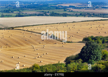 Stoppeln und Ballen nach der Ernte im August Chiltern Hills-Buckinghamshire Stockfoto