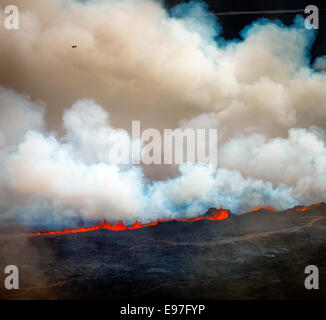 Lava und Federn aus den Holuhraun Riss durch die Bardarbunga Vulkan, Island. Stockfoto