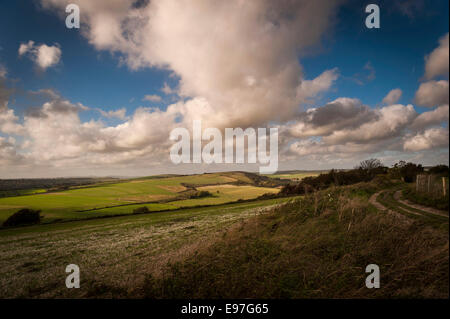 Die South Downs in der Nähe von langen Furlong, Worthing, West Sussex, UK Stockfoto