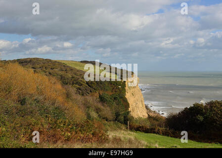 Ecclesbourne Glen. Hastings Land-Park. Sussex Stockfoto