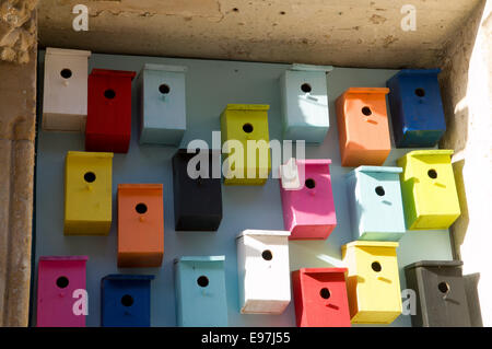 Vogel-Boxen, The Bunkhouse, St Mary Street, Cardiff, Wales, UK. Stockfoto