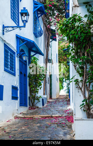 Schmale gepflasterte Gasse in Sidi Bou Said, Tunesien. Stockfoto