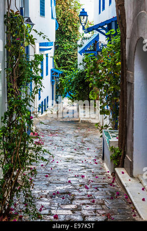 Schmale gepflasterte Gasse in Sidi Bou Said, Tunesien. Stockfoto