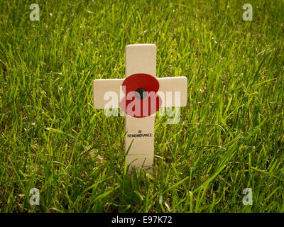 Mohn auf einem Holzkreuz im Gras. Stockfoto