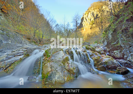 Wasserfall im Wald Stockfoto