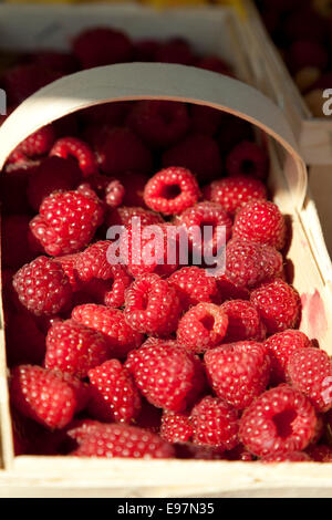 Himbeeren Reife Frucht im Korb als Hintergrund Stockfoto