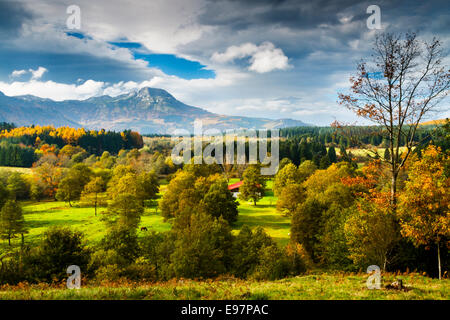 Wald und Wiesen Landschaft im Herbst. Gorbeia Naturpark. Biskaya, Baskisches Land, Spanien, Europa. Stockfoto