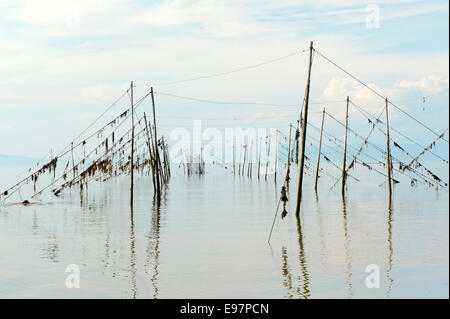 Aale fangen am St.-Lorenz-Strom, Kamouraska Region, Provinz Quebec, Kanada. Stockfoto