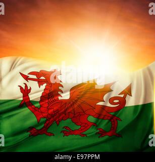 Walisische Flagge vor hellem Himmel Stockfoto