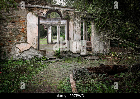 Die Reste der Wintergarten Warley Ort in Essex.  Der Garten des Hauses der Gärtner Miss Ellen Willmott. Stockfoto