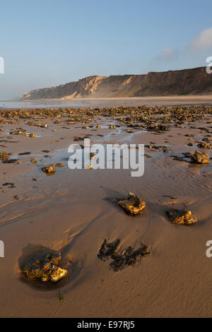 Strand, Fels-Pools und Klippen am West Runton, Norfolk, England UK Stockfoto