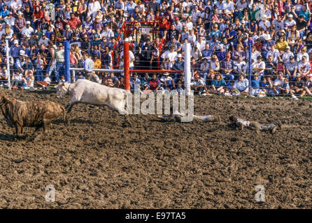 ANGOLA, LA-JANUARY1: Das jährliche Angola Prison Rodeo ist in Angola, Louisiana im 1. Januar 1995 statt. Stockfoto