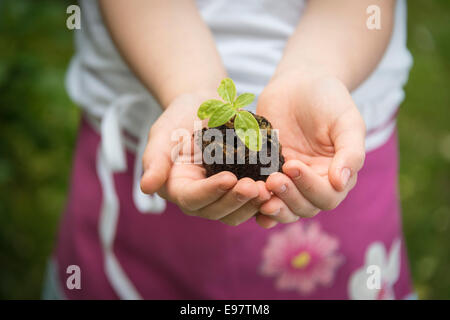 Kleines Mädchen, Gartenarbeit, Sämling in den Händen halten Stockfoto