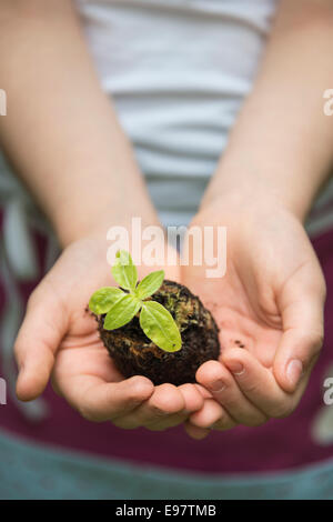 Kleines Mädchen, Gartenarbeit, Sämling in den Händen halten Stockfoto
