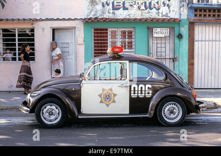 Vw Käfer Polizei Auto, Veracruz, Mexiko Stockfoto