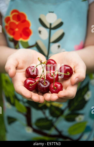 Mädchen, die Kirschen in ihren Händen hält Stockfoto