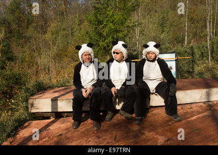 Chinas Riesen Panda Research Center löst eine in Gefangenschaft geboren Panda namens Zhang Xiang (Thinking of Hope ") in Liziping Natur R Stockfoto