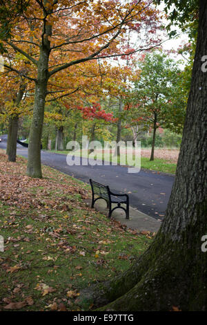 Belfast Irland 20. Oktober 2014. Mit dem Herbst angebrochen lässt auf dem Gelände des Malone House, Belfast Farbe ändern Stockfoto