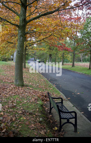 Belfast Irland 20. Oktober 2014. Mit dem Herbst angebrochen lässt auf dem Gelände des Malone House, Belfast Farbe ändern Stockfoto