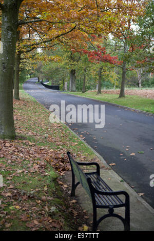 Belfast Irland 20. Oktober 2014. Mit dem Herbst angebrochen lässt auf dem Gelände des Malone House, Belfast Farbe ändern Stockfoto