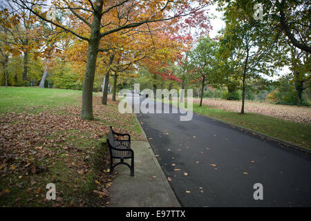 Belfast Irland 20. Oktober 2014. Mit dem Herbst angebrochen lässt auf dem Gelände des Malone House, Belfast Farbe ändern Stockfoto