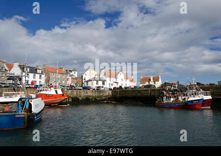 Angelboote/Fischerboote im Hafen von Pittenweem in der East Neuk of Fife, Schottland. Stockfoto