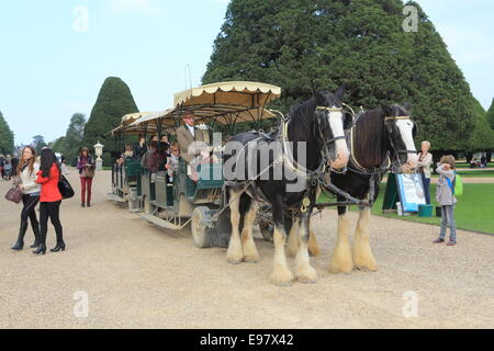 Pferdekutsche Kutsche für Touristen in den Gärten des Hampton Court Palace, in Surrey, SE England, UK Stockfoto