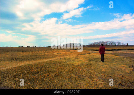 Eine reflektierende Körperwasser vom Ozean durchsetzt viele schwarze Felsen. Marsh kleine Bucht blauen Wolkenhimmel in Ferne. Stockfoto