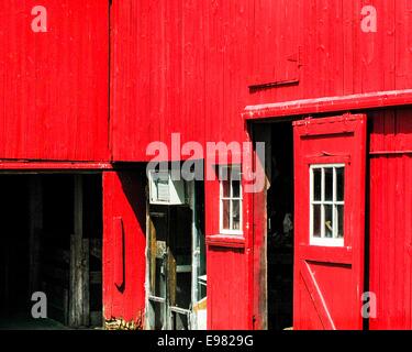 Blick auf eine frisch gestrichene leuchtend rote Scheune mit offenen Türen auf eine Kuh auf dem Bauernhof mit hellen weißen gerahmte Fenster an einem sonnigen Tag. Stockfoto