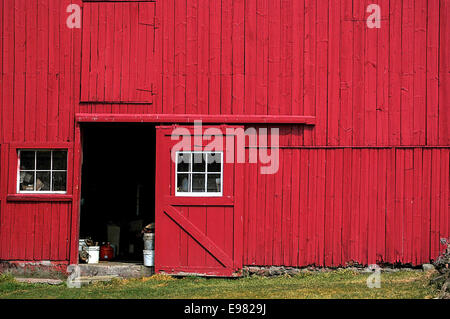 Blick auf eine frisch gestrichene helle rote Scheune auf einem Bauernhof Kuh mit hellen weißen gerahmte Fenster an einem sonnigen Tag. Stockfoto