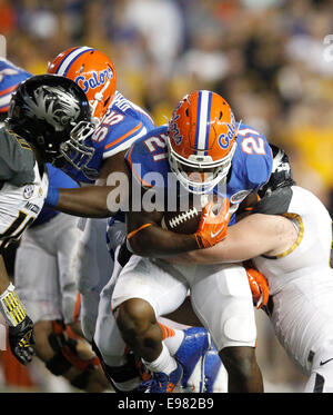 18. Oktober 2014 - Gainesville, Florida, USA - Florida Gators Runningback Kelvin Taylor (21) im vierten Quartal des Spiels zwischen den Florida Gators und Missouri Tigers bei Ben Hill Griffin Stadium in Angriff genommen wird. (Kredit-Bild: © Eve Edelheit/Tampa Bay Times/ZUMAPRESS.com) Stockfoto