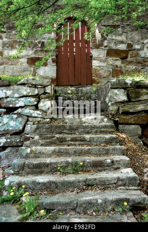 Eine alte Steintreppe führt zu einer Holztür. Grüne Vegetation und Gänseblümchen als Akzente. Stockfoto