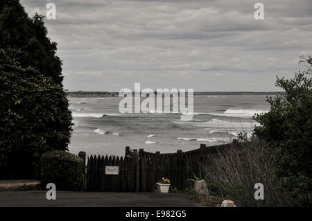 Dunklen Regentag Blick über Zaun zwischen zwei großen Büschen am Meer hinaus viele brechenden Wellen. Es ist Ironie oder Contras breit Stockfoto