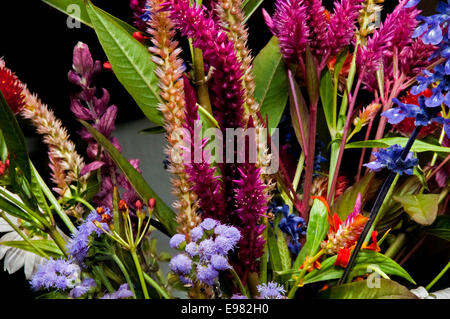 Eine close-up Kollektion vielfältig bunte Blumen. Dunklen Hintergrund hinzufügen Sättigung betont Einzigartigkeit bunte Natur Blumen. Stockfoto